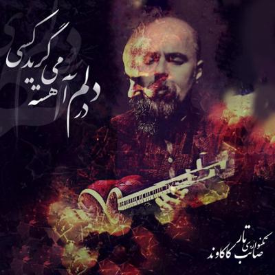 آهنگ در دلم آهسته می گريد كسی