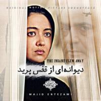 دیوانه ای از قفس پرید