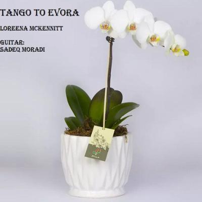 آهنگ Tango to Evora