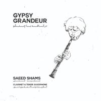 در کافه با جنگو