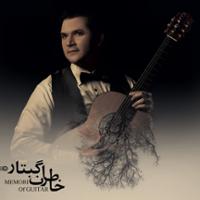 خاطرات گیتار