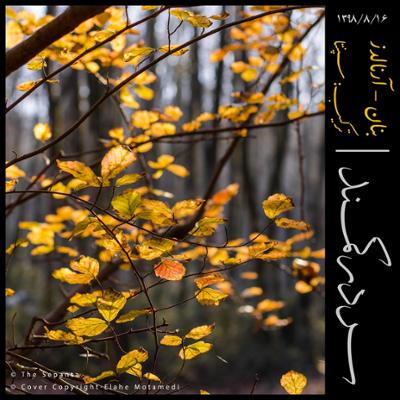 آهنگ سر در کمند