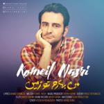 من بهارم تو زمین