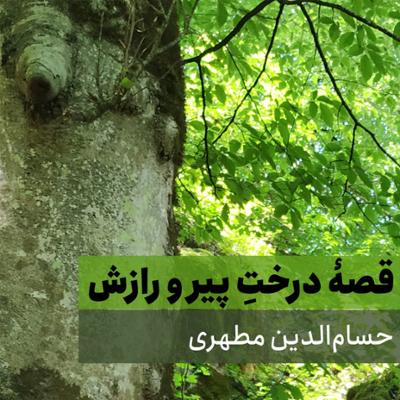 آهنگ قصه درخت پیر و رازش