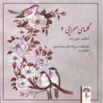 گلهای صحرایی در مایه بیات اصفهان 4 