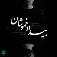 بیداد خموشان