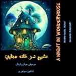 شبی در خانه عجایب