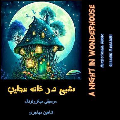 آهنگ شبی در خانه عجایب