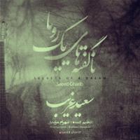 ناگفته های یک رویا