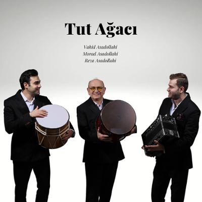 آهنگ Tut Agaci