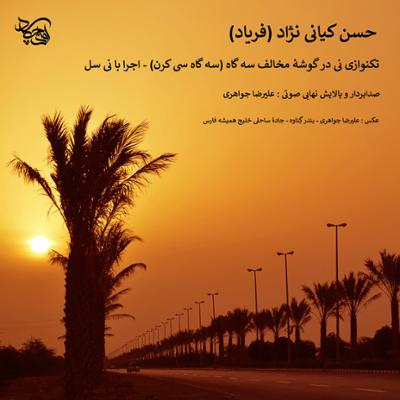 آهنگ تکنوازی نی در گوشۀ مخالف سه گاه (سه گاه سی کرن) - اجرا با نی سل