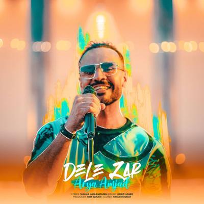 آهنگ دل زار