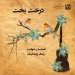 پیش درآمد شادمانی، ماهور