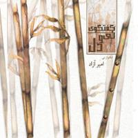 گفتگوی نی و دل