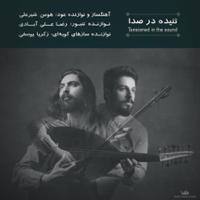 تنیده در صدا