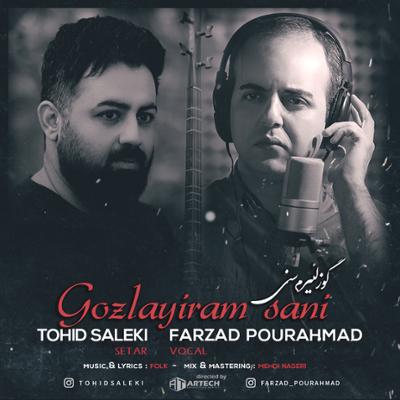 آهنگ گوزلئیرم سنی