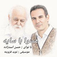 همنوا با سایه
