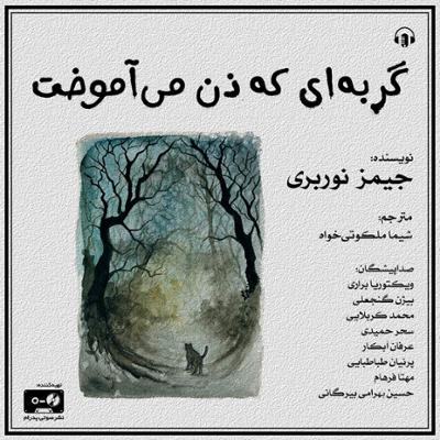 آهنگ گربه ای که ذن می آموخت