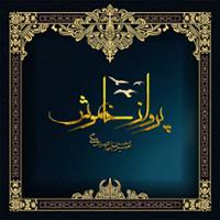 پرواز خاموش