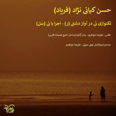 آهنگ بداهه نوازی و تکنوازی نی در آواز دشتی (ر) - اجرا با نی (سل)