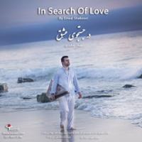 در جستجوی عشق