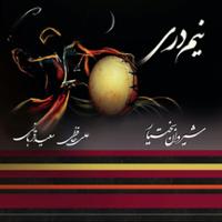 نیم دری