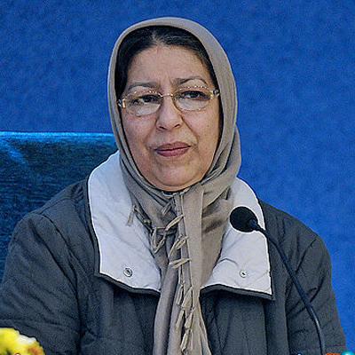 هنگامه مفید