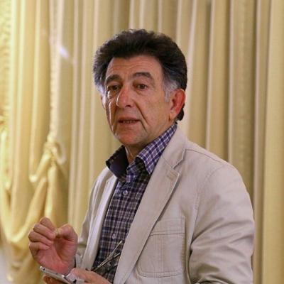 محمد سلمانی