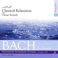 آوای اقیانوس - دنیای سحر آمیز باخ