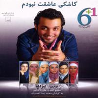 کاشکی عاشقت نبودم