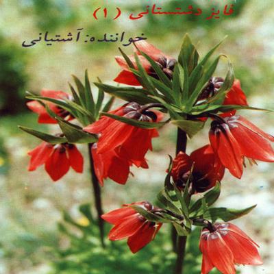 آهنگ فایز دشتستانی (۱)