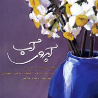 آبروی آب