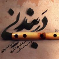 در بند نی (بی کلام)