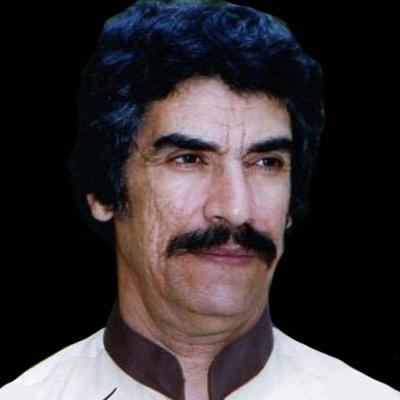 سید نورالدین رضوی سروستانی