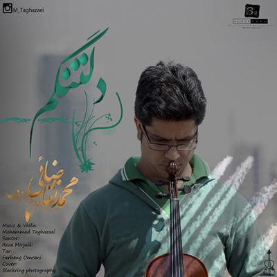 آهنگ دلتنگم