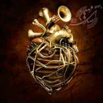 بدشانسهای خوش بخت