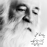 در سوگ استاد لطفی