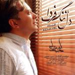 دل تنگ فردا