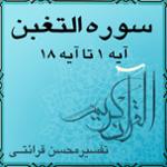 آیه ۱۴ - سوره التغبن