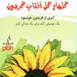 غریبه ها