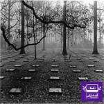 مرگ خوبه واسه همسایه