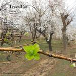 رادیو تراولکست (قسمت چهارم)‎