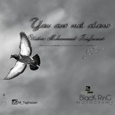 آهنگ تنها نیستی