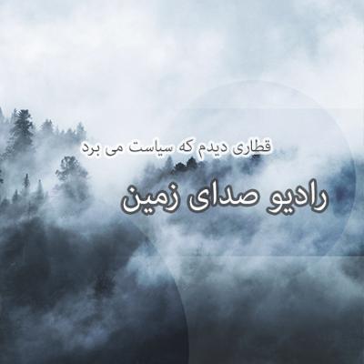 آهنگ قطاری دیدم که سیاست می برد