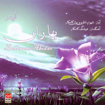 آهنگ فغان بربط 1