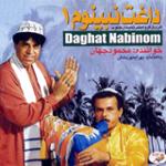 بی تو چه کنم