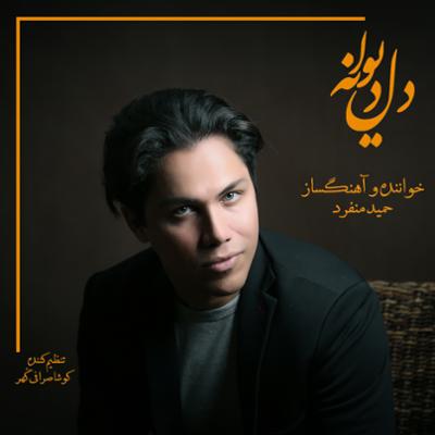 آهنگ دل دیوانه