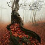 عاشقانه با مرگ