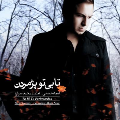 آهنگ بانوی خاکستر