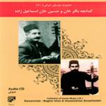 رنگ بیات ترک